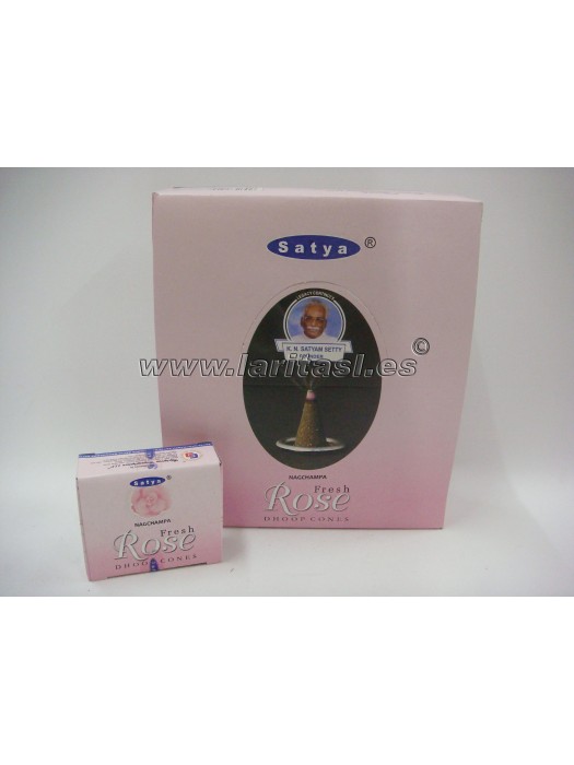 Conos Fresh Rose